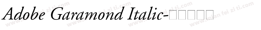 Adobe Garamond Italic字体转换